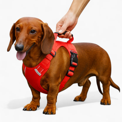 BarkLuxe Dachshund Harness Leash Set – Retriever Vest-Style Anti-Break