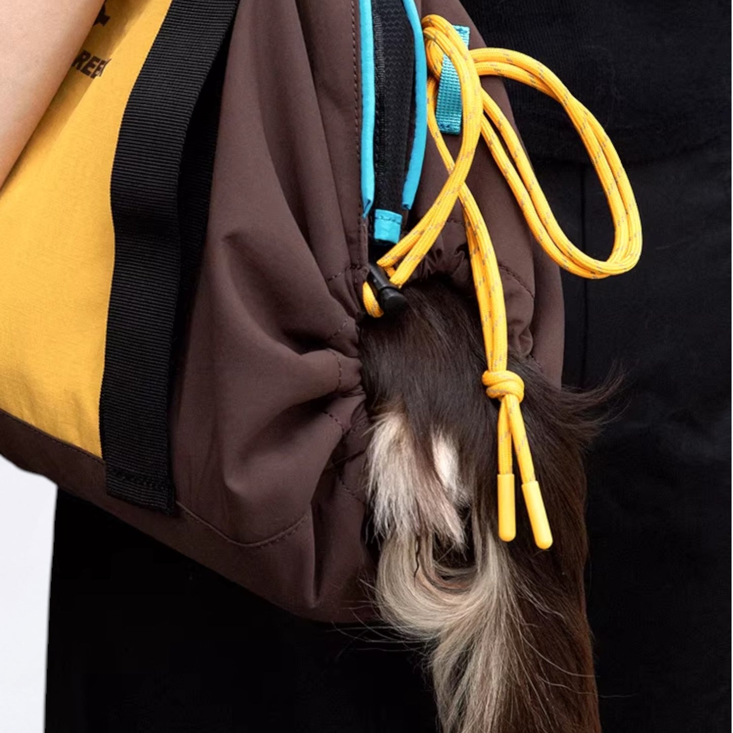 DoxiPack Dachshund Carry Bag – Luxury Travel Pod Shoulder Backpack