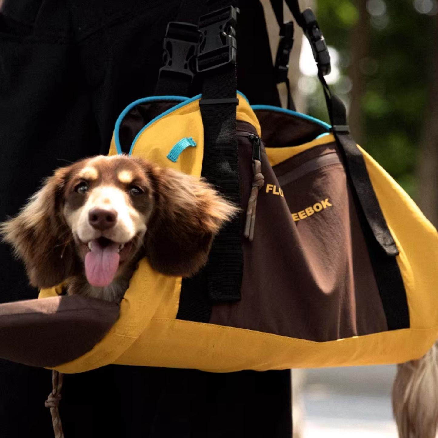 DoxiPack Dachshund Carry Bag – Luxury Travel Pod Shoulder Backpack