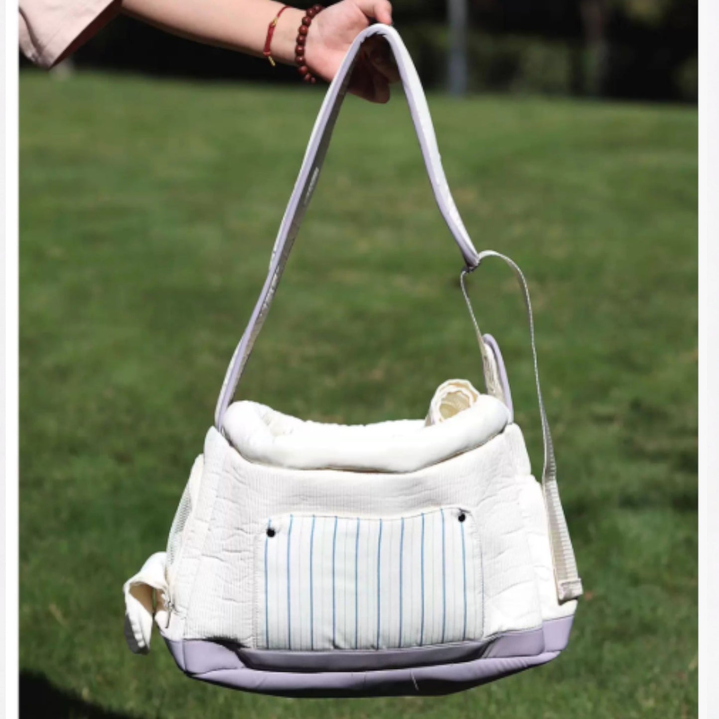 DachiGo Dachshund Outing Carrier – Korean Style Crossbody Bag for Small Dogs