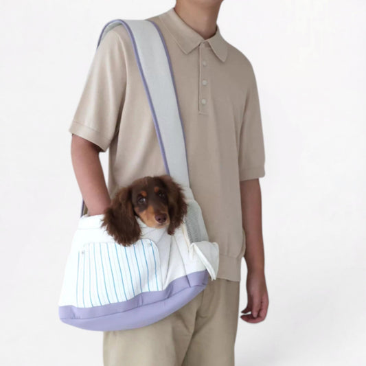 DachiGo Dachshund Outing Carrier – Korean Style Crossbody Bag for Small Dogs