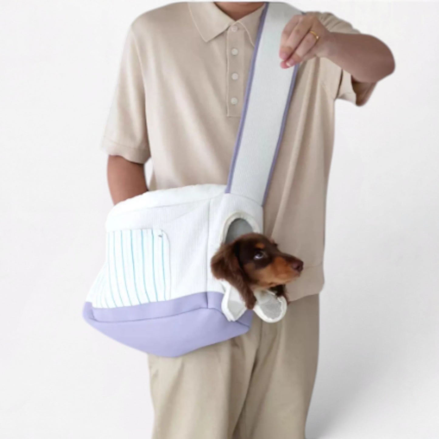 DachiGo Dachshund Outing Carrier – Korean Style Crossbody Bag for Small Dogs