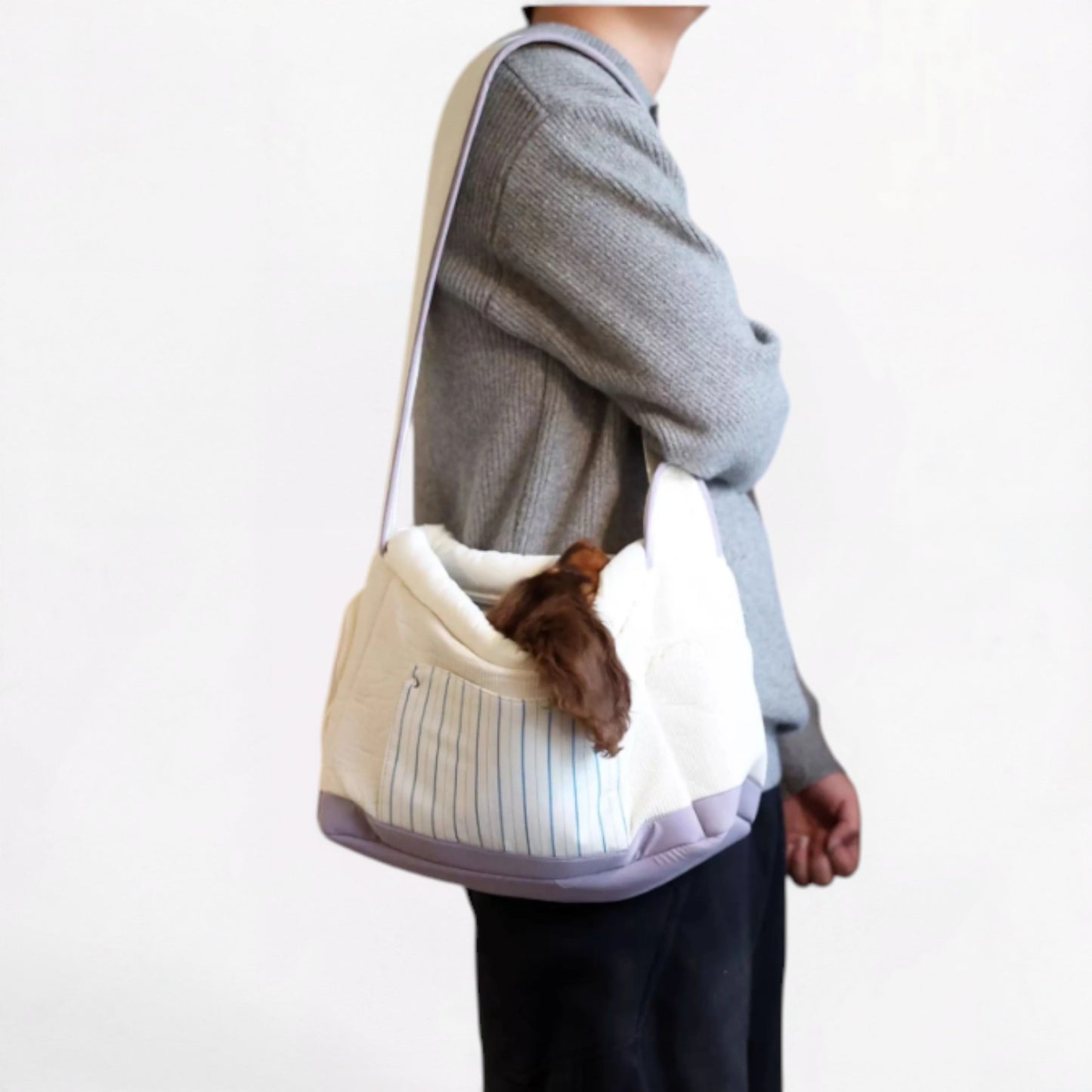 DachiGo Dachshund Outing Carrier – Korean Style Crossbody Bag for Small Dogs