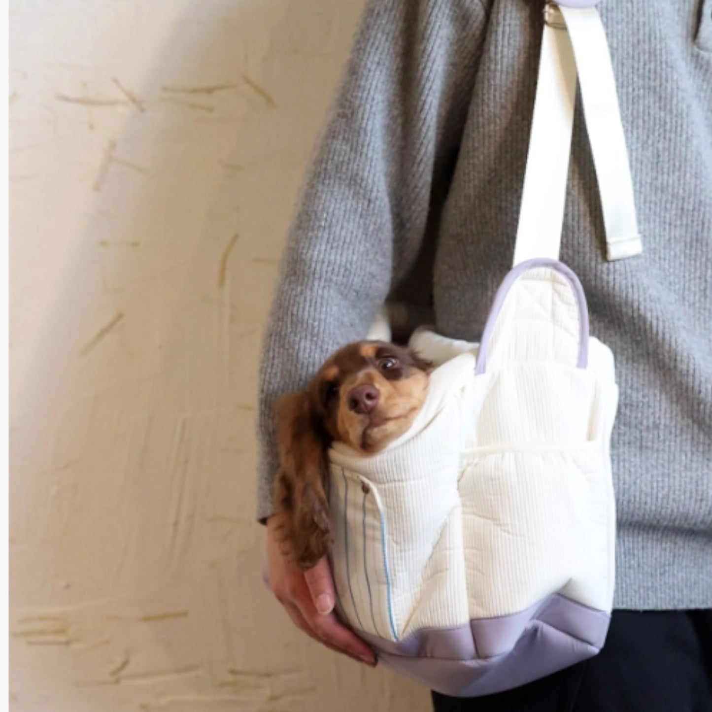 DachiGo Dachshund Outing Carrier – Korean Style Crossbody Bag for Small Dogs