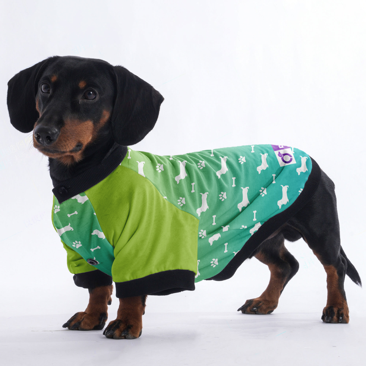 Bodo - Jacket for Dachshunds