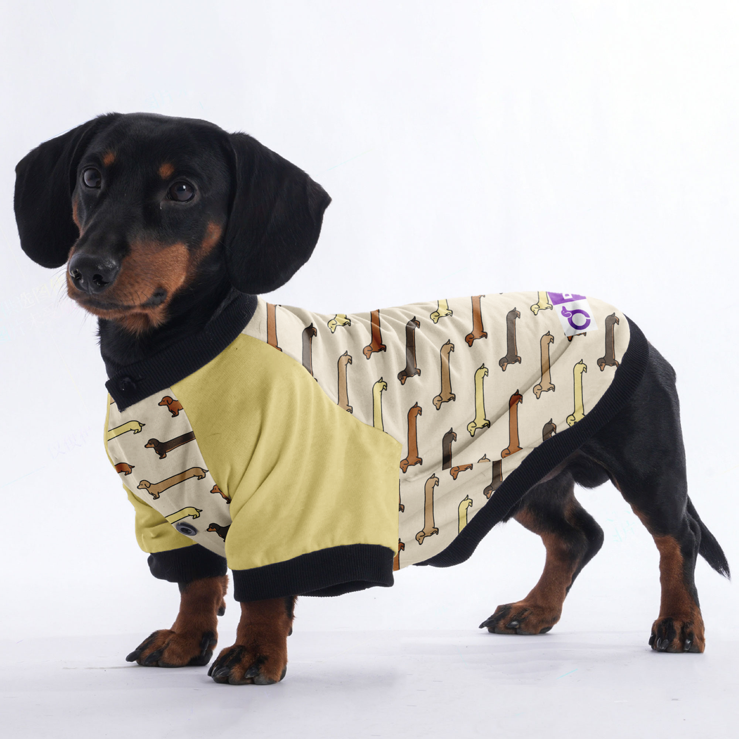 Birdie  - Jacket for Dachshunds