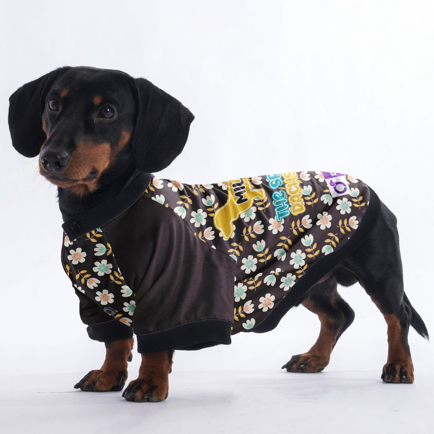 Personalized Dachshund Jacket with Your Dog's Name