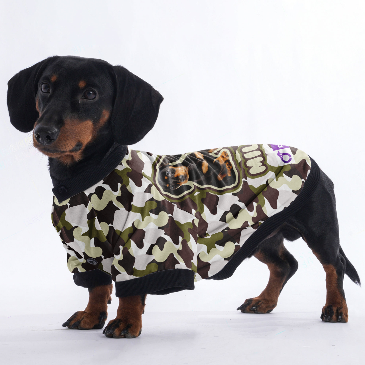 Custom Dachshund Jacket Featuring Your Dog's Name and Photo