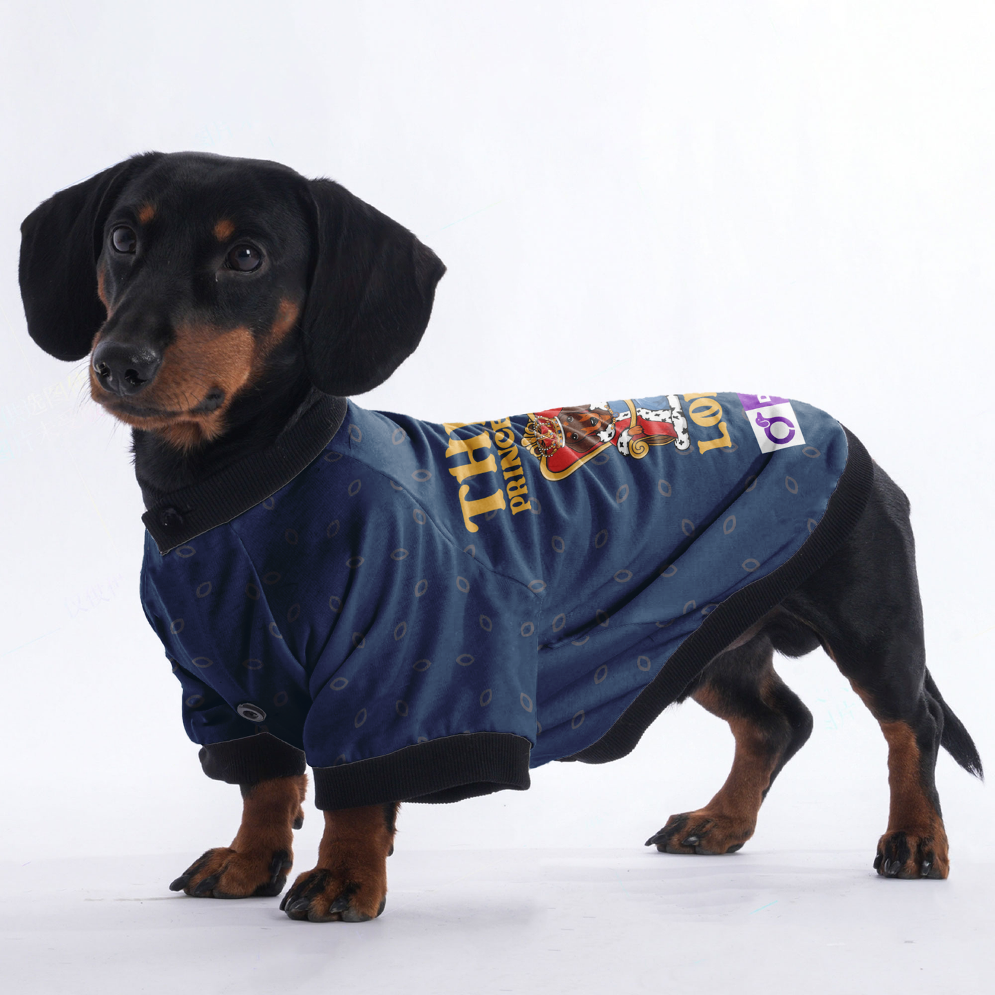 Customized Dachshund Jacket with Your Pet’s Name