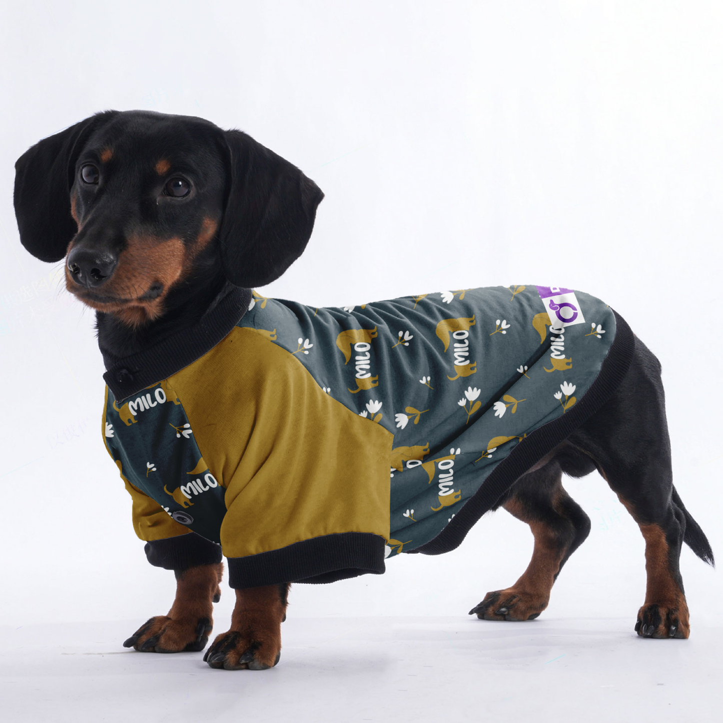 Custom Jacket for Dachshunds with Your Pet's Name Pattern