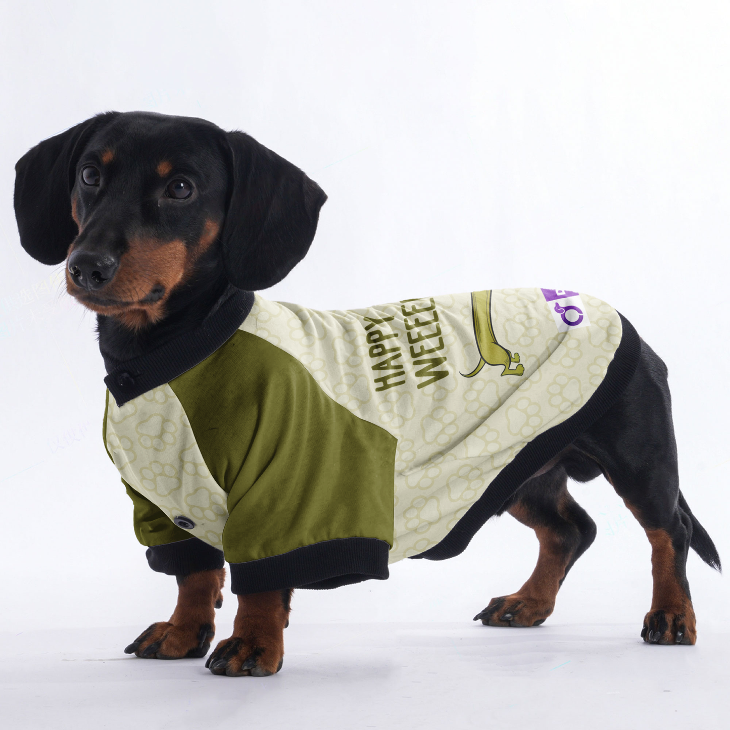 Happy Long Weeeeeeeeekend - Jacket for Dachshunds