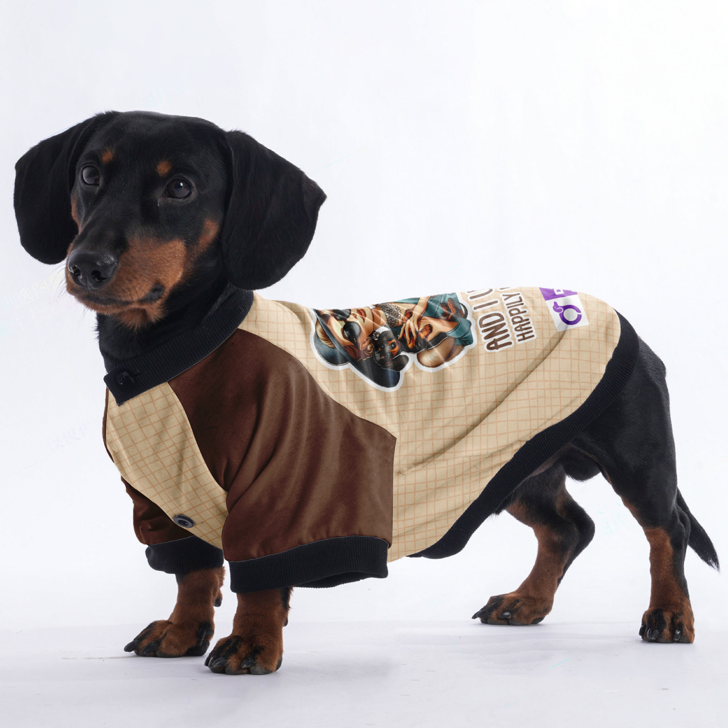 And I Wagged Happily Ever After - Jacket for Dachshunds