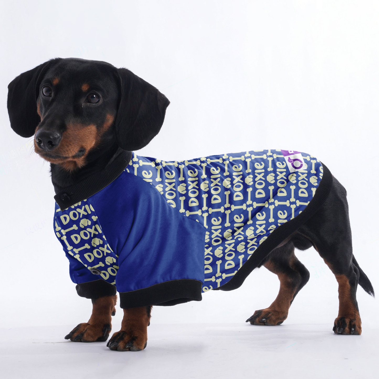 Ken - Jacket for Dachshunds