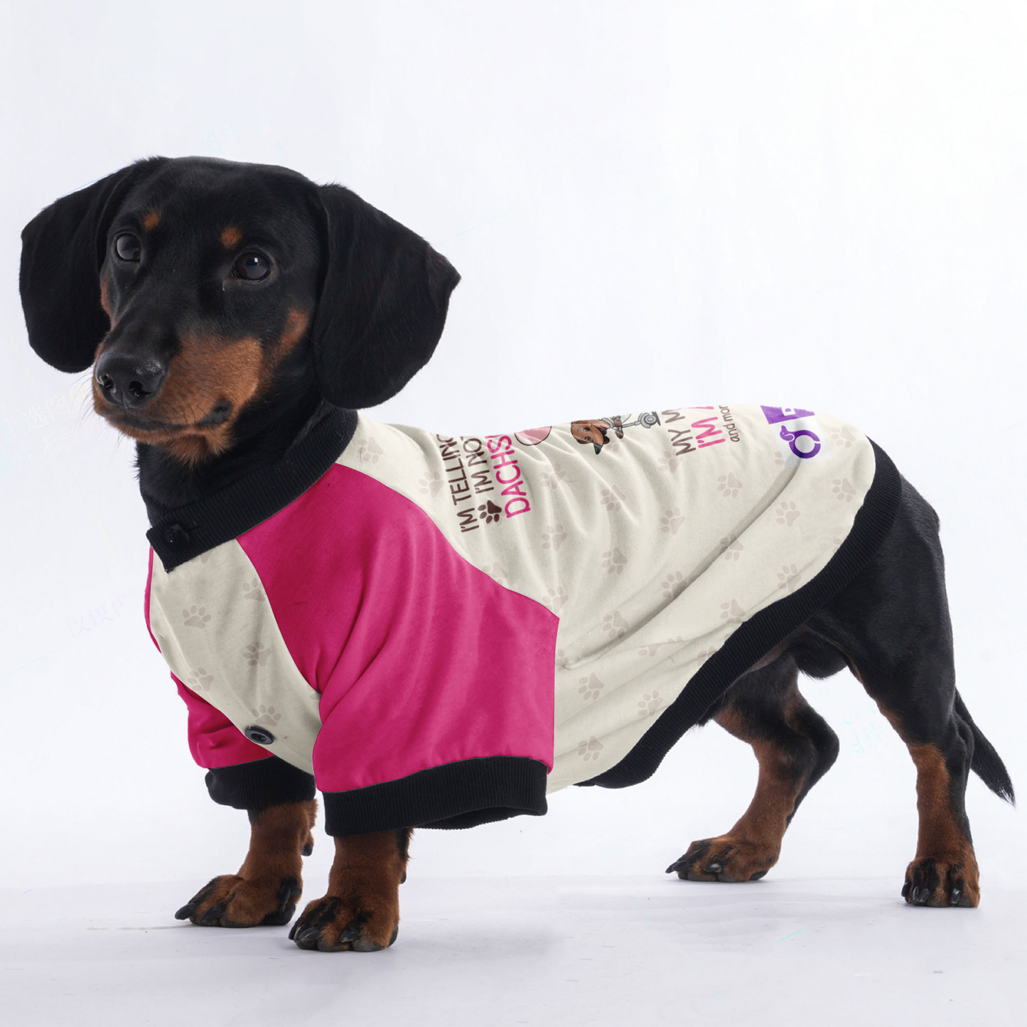 I’m telling you I’m not a dachshund; my mom said I’m a baby, and mom is always right - Jacket for Dachshunds