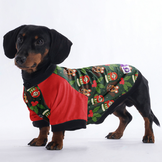 Roxy - Jacket for Dachshunds