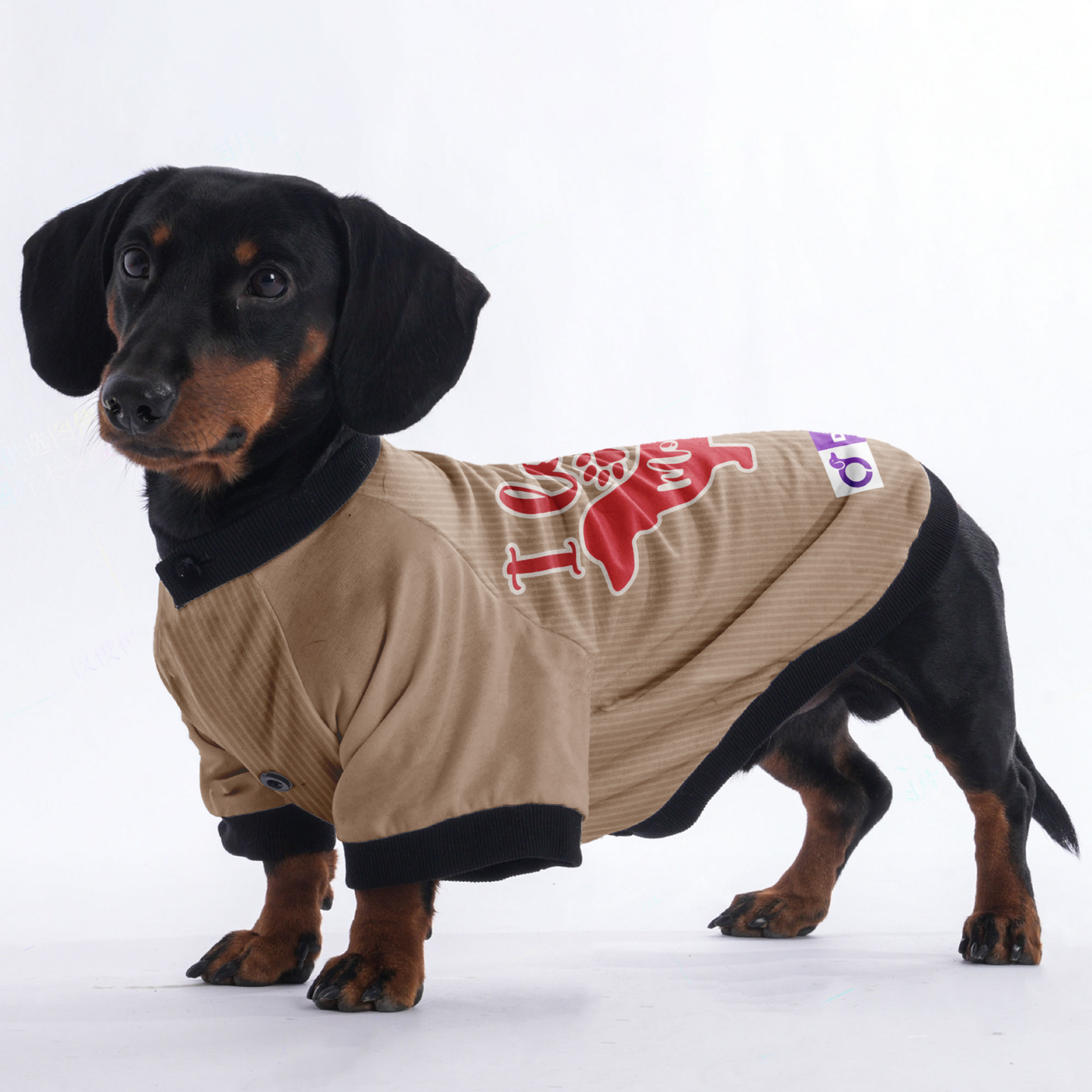 I love my Mommy - Jacket for Dachshunds