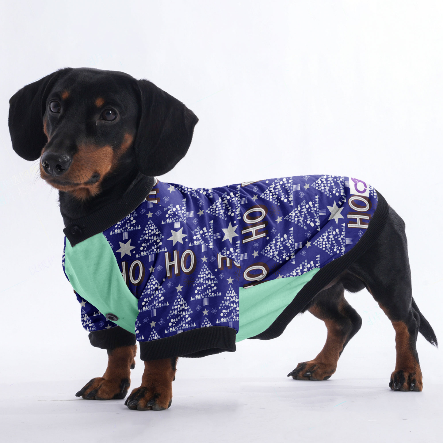 Lola - Jacket for Dachshunds