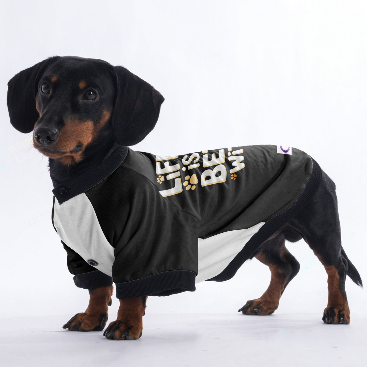 Gigi - Jacket for Dachshunds