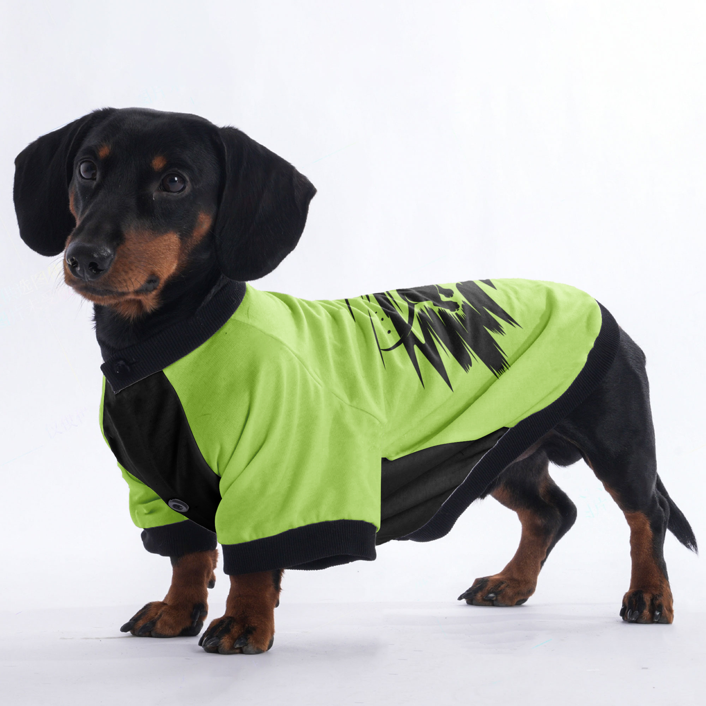 Gracie - Jacket for Dachshunds