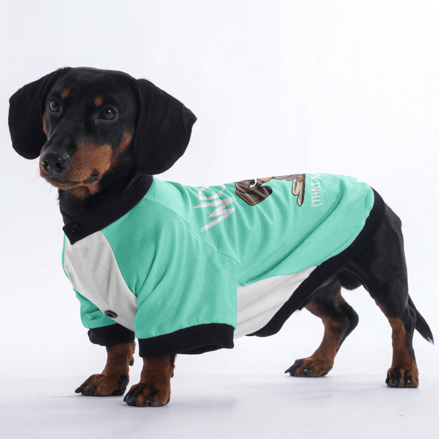 Ruby - Jacket for Dachshunds