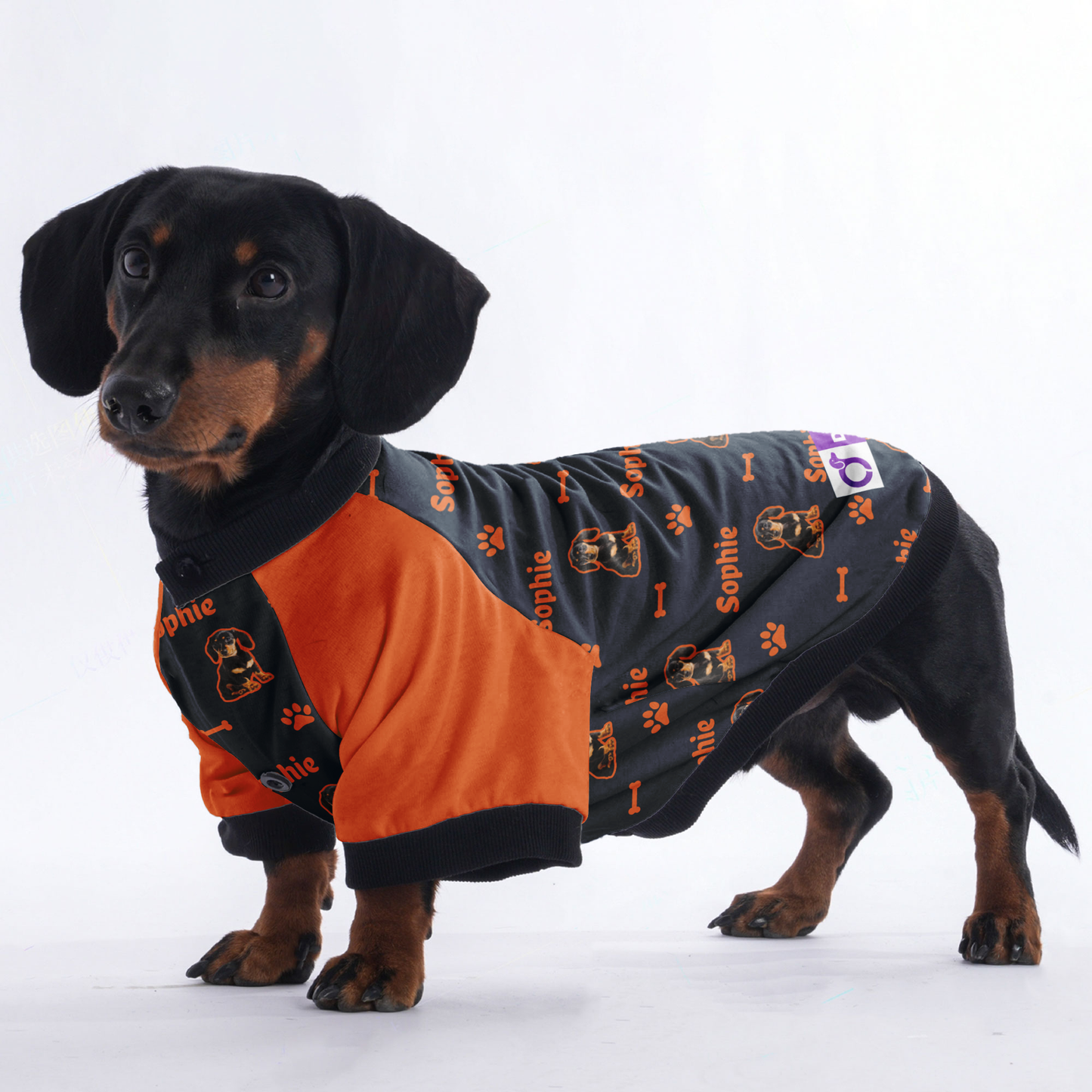 Customized Dachshund Jacket with Your Pet’s Name and Photo