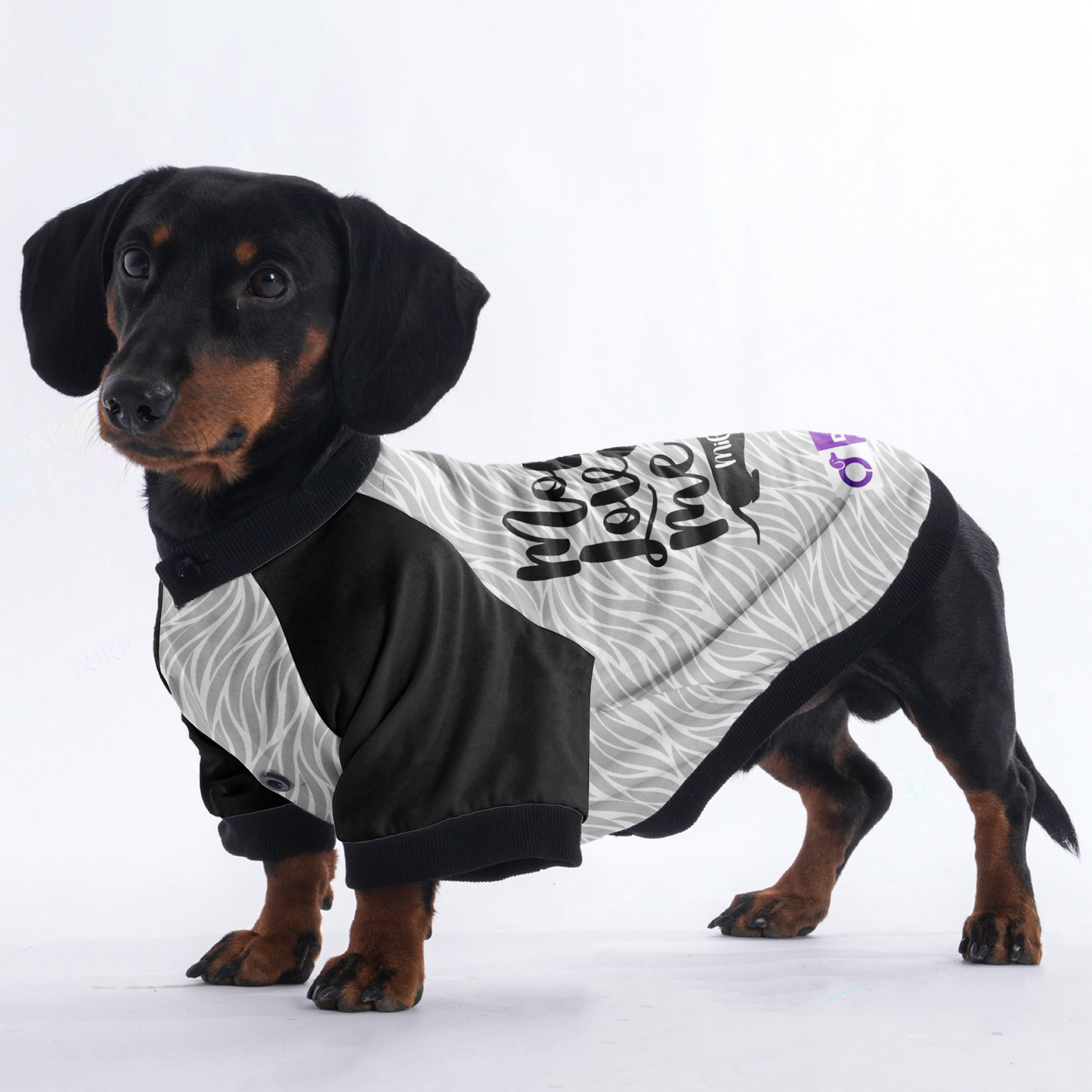 Custom Jacket for Dachshunds with Your dachshund's Name