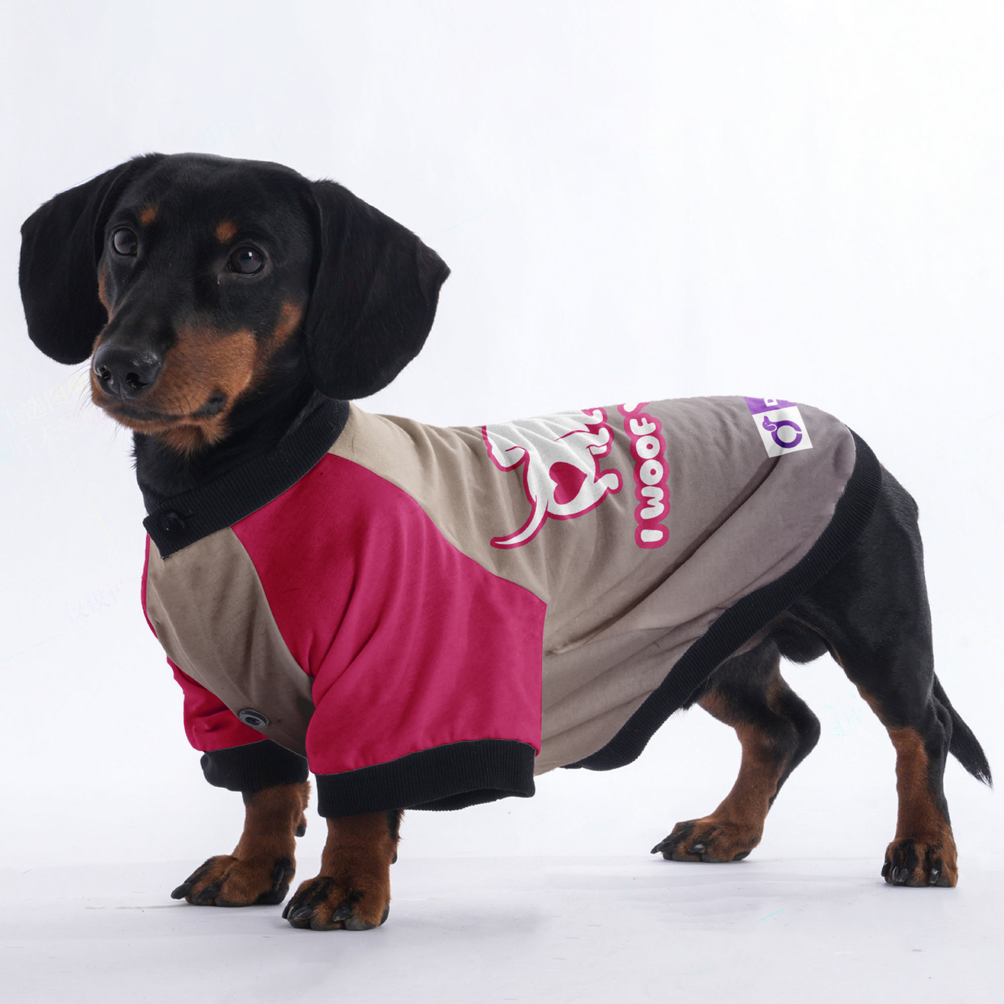 I woof you - Jacket for Dachshunds