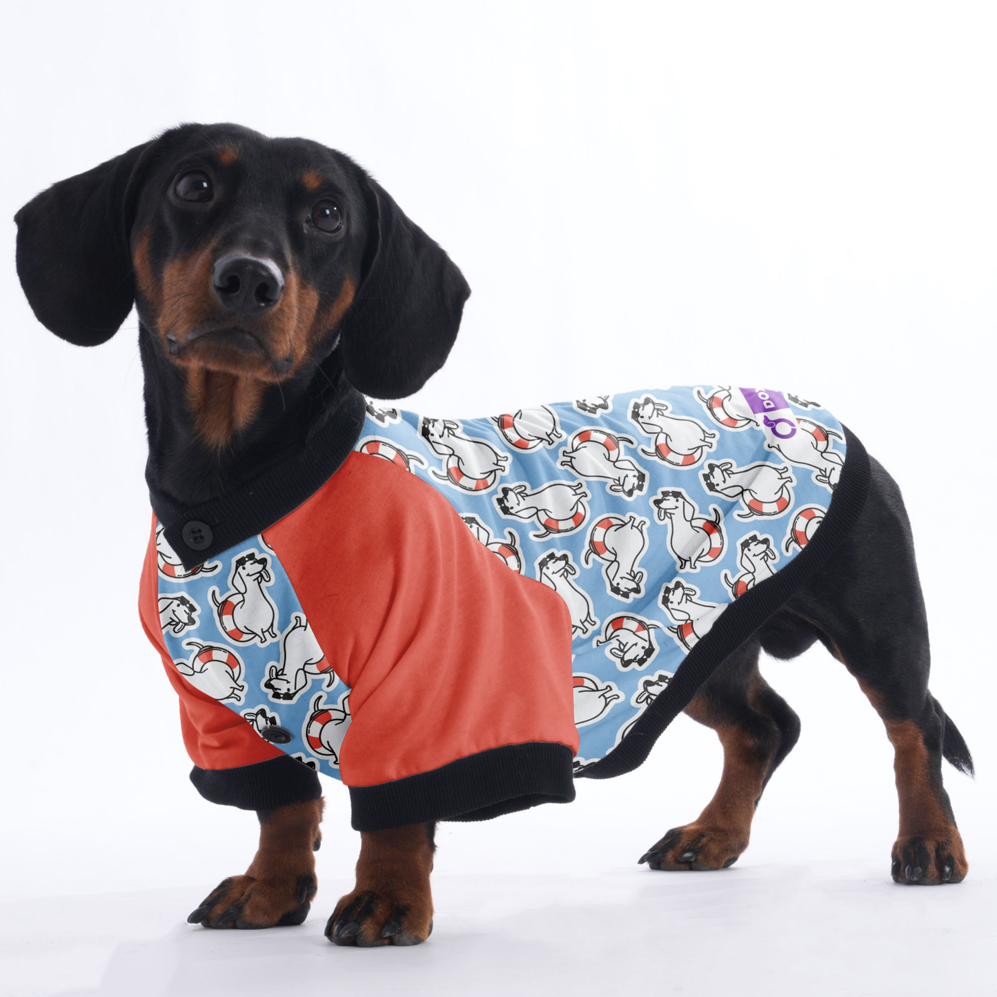 Sandra  - Jacket for Dachshunds