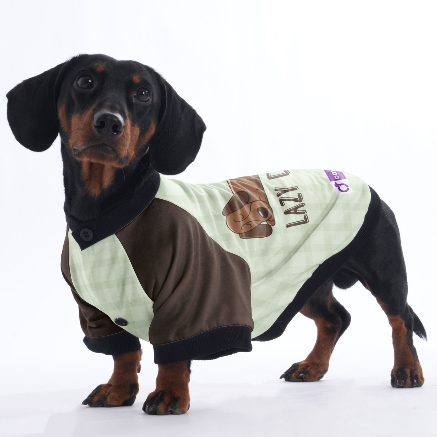 Lazy dog  - Jacket for Dachshunds