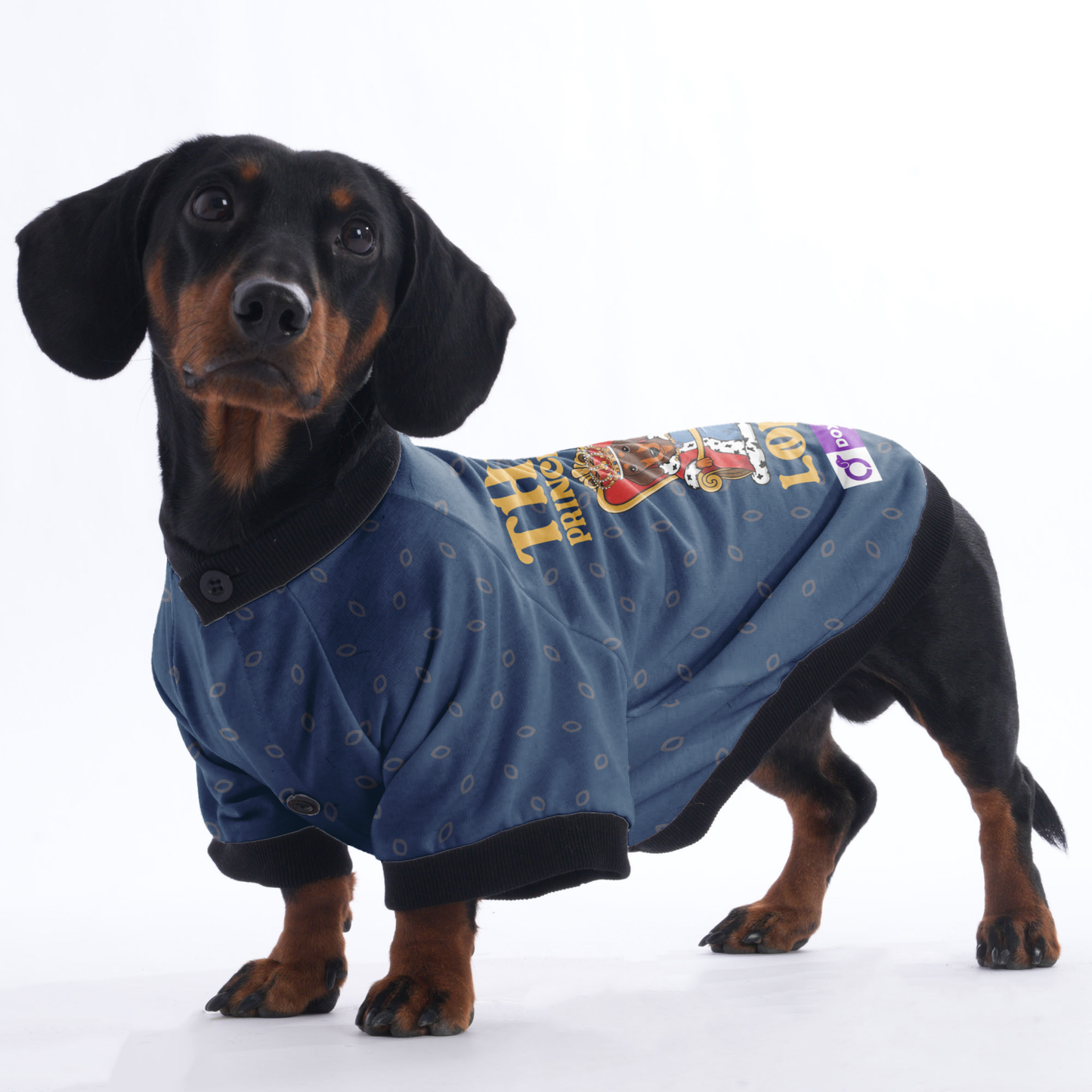 Customized Dachshund Jacket with Your Pet’s Name