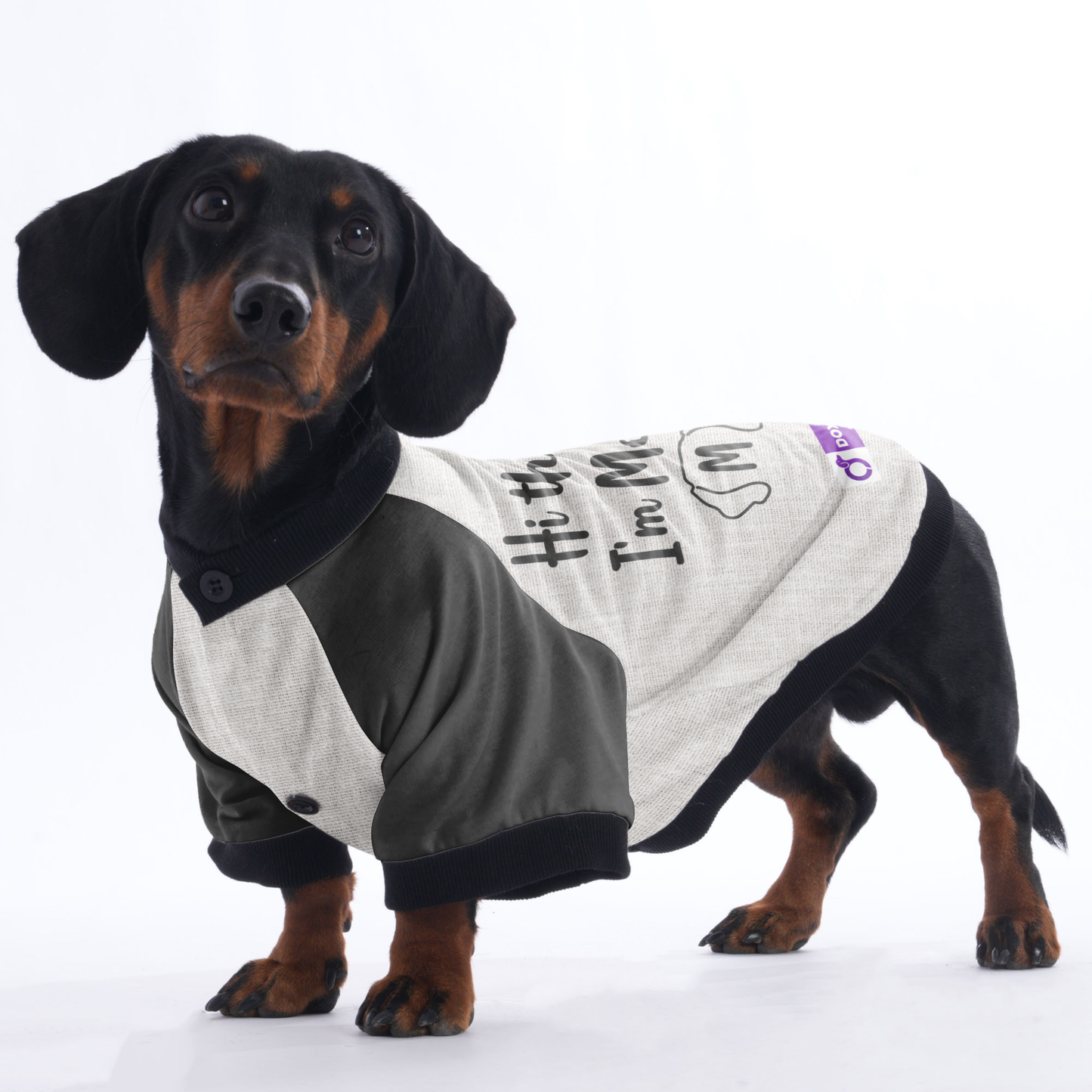 Personalized Doxie Jacket with Your Pup's Name