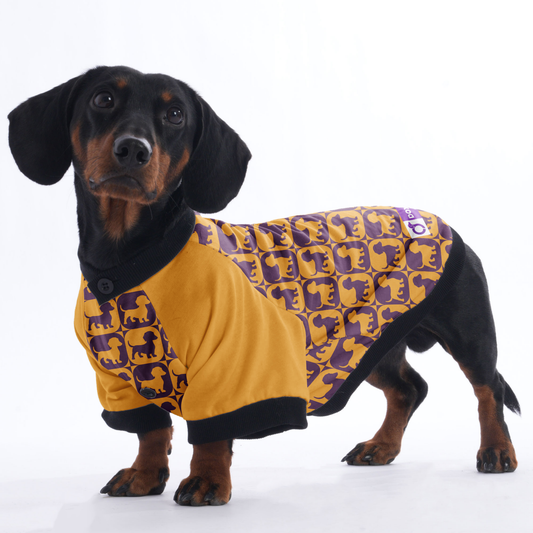 Ludwig - Jacket for Dachshunds