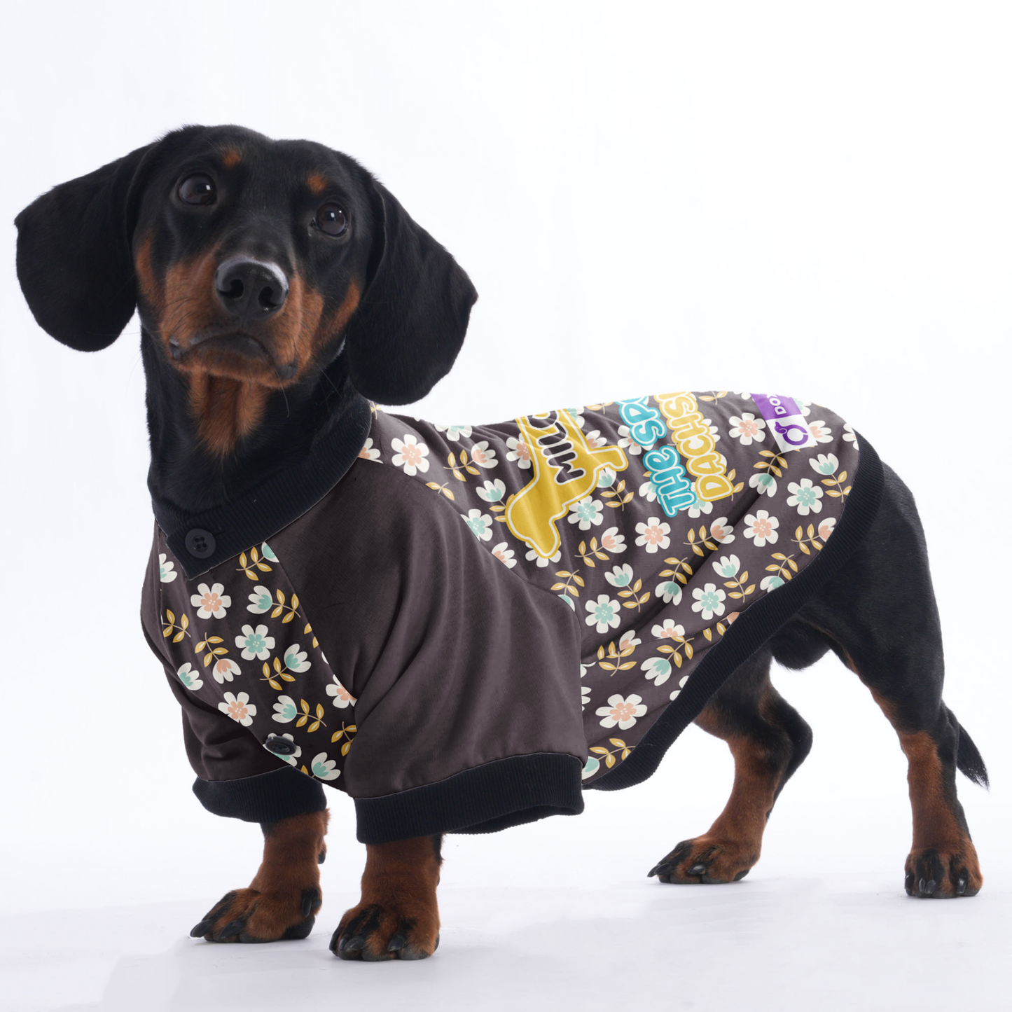 Personalized Dachshund Jacket with Your Dog's Name