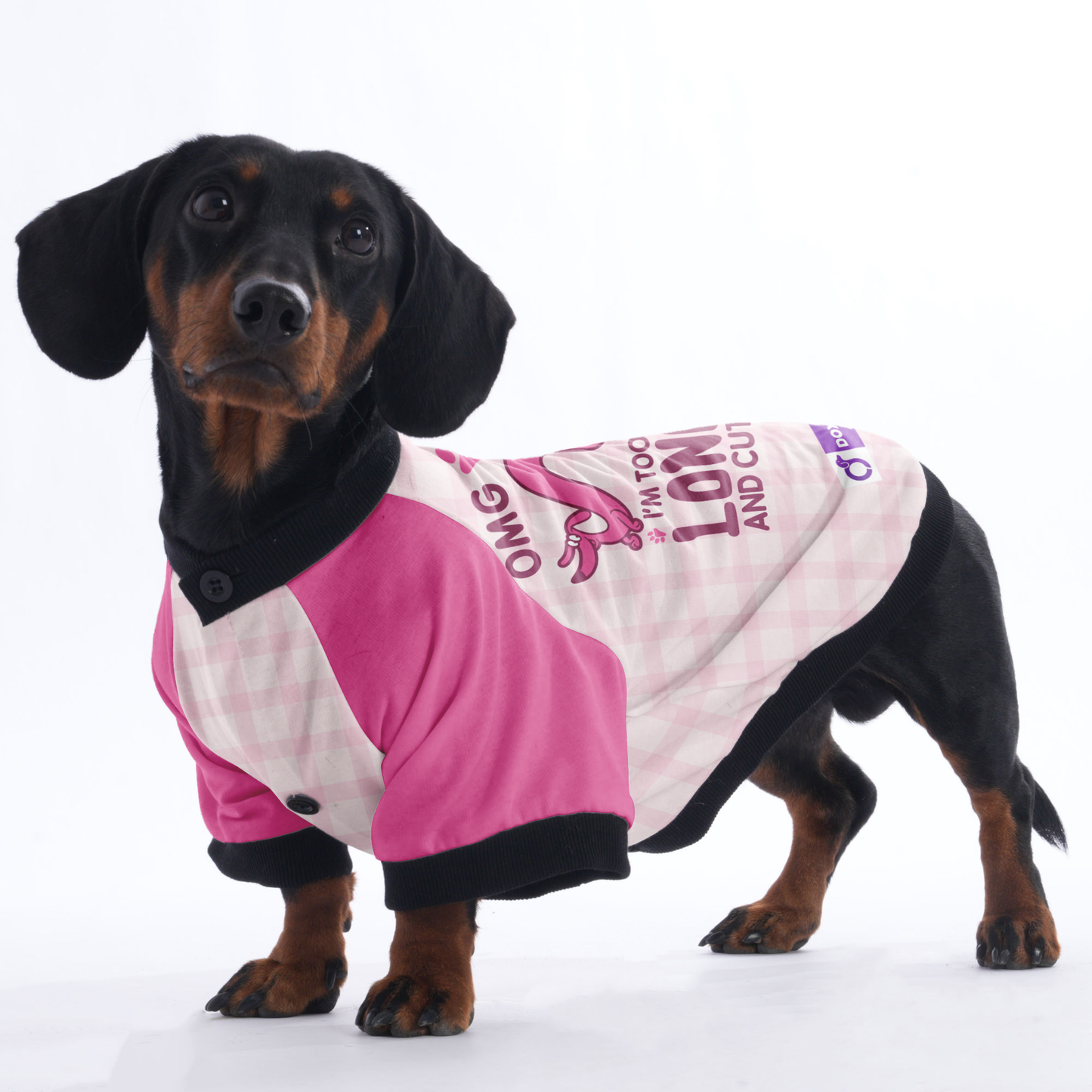 OMG I'M TOO LONG AND CUTE - Jacket for Dachshunds