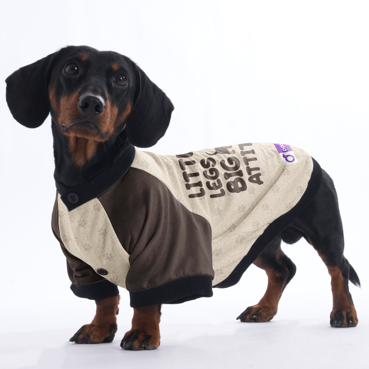 LITTLE LEGS, BIG ATTITUDE  - Jacket for Dachshunds