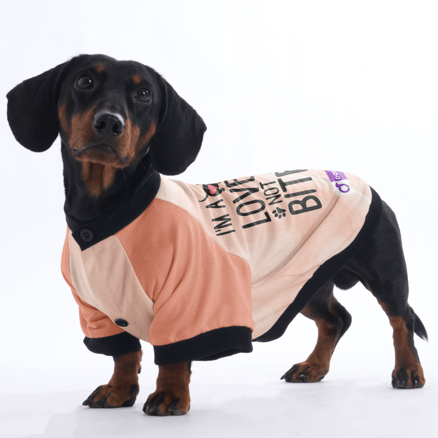 I'm a Lover Not a Biter - Jacket for Dachshunds