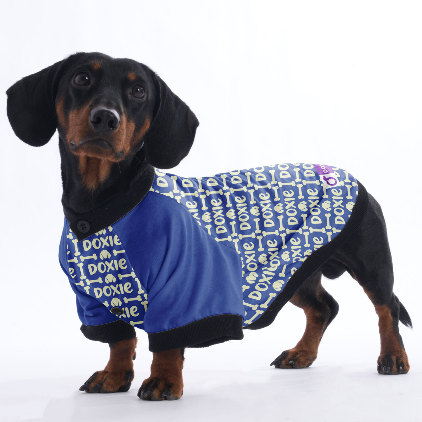 Ken - Jacket for Dachshunds