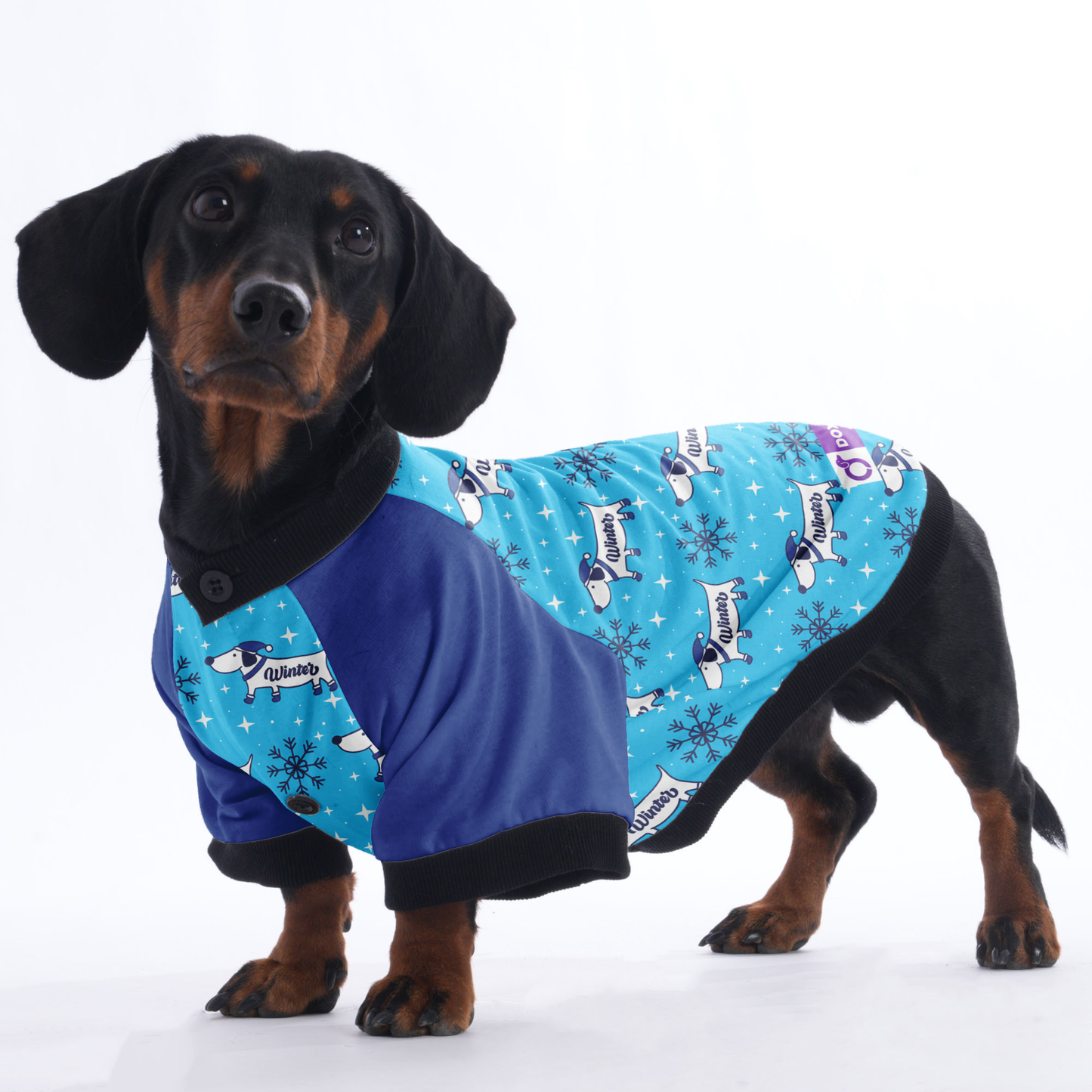 Tucker- Jacket for Dachshunds