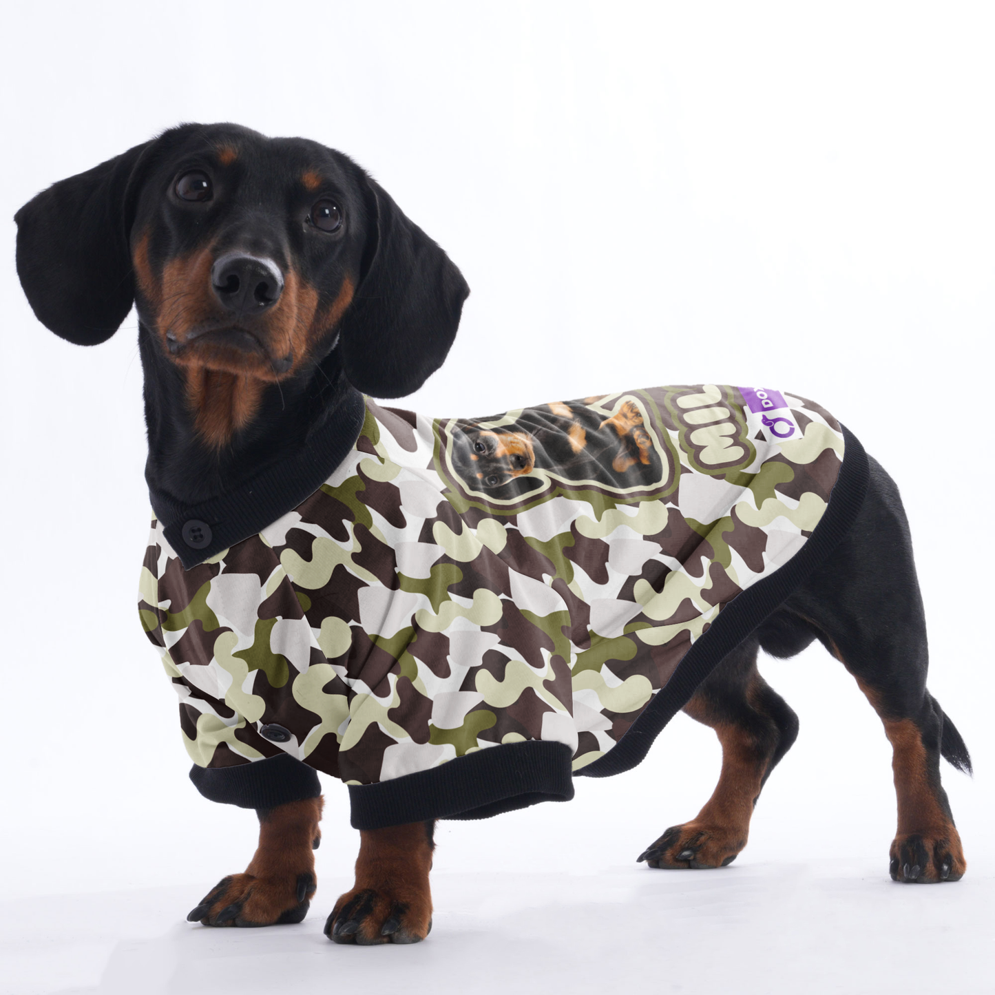 Custom Dachshund Jacket Featuring Your Dog's Name and Photo