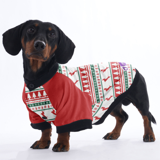 Tyler - Jacket for Dachshunds