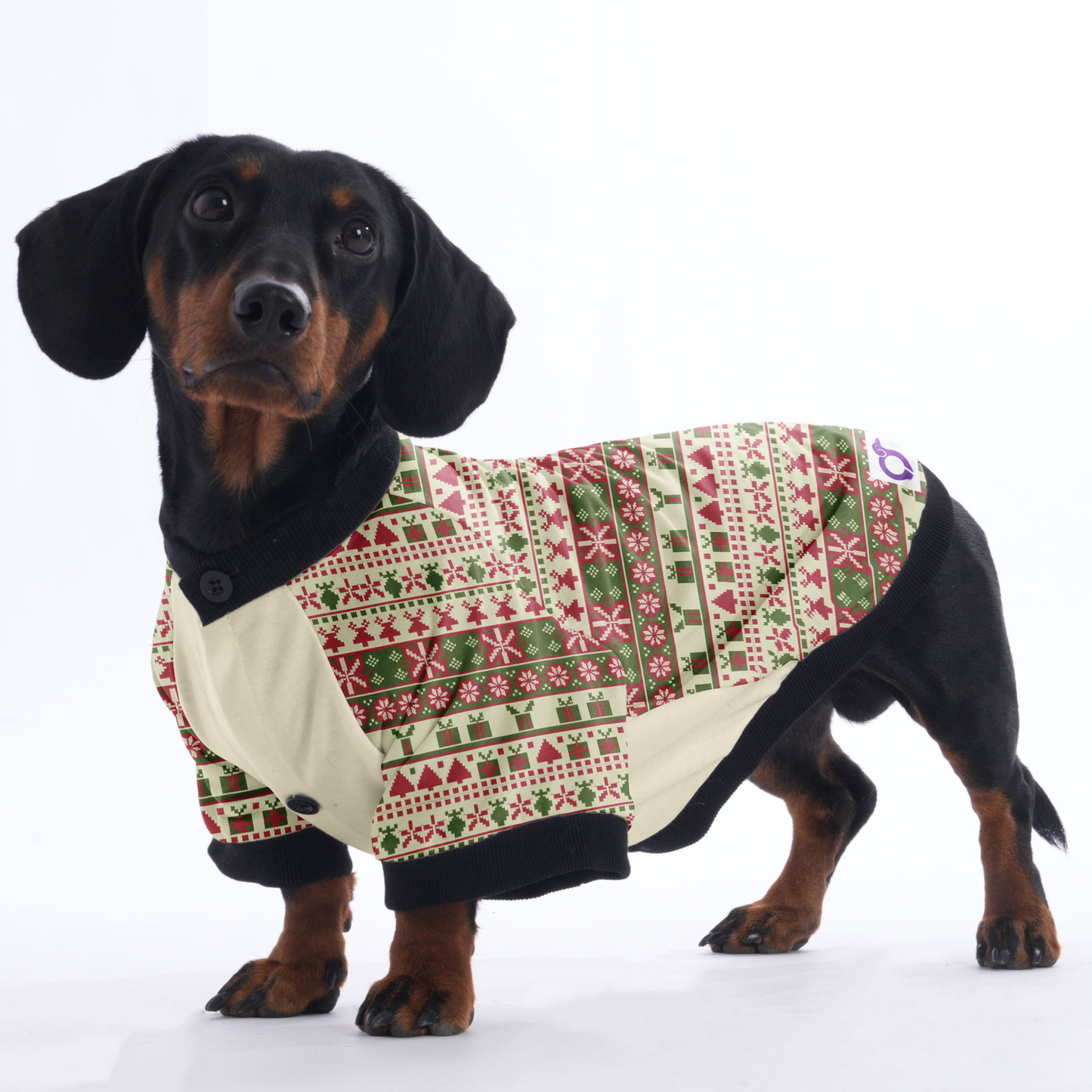 Molly - Jacket for Dachshunds