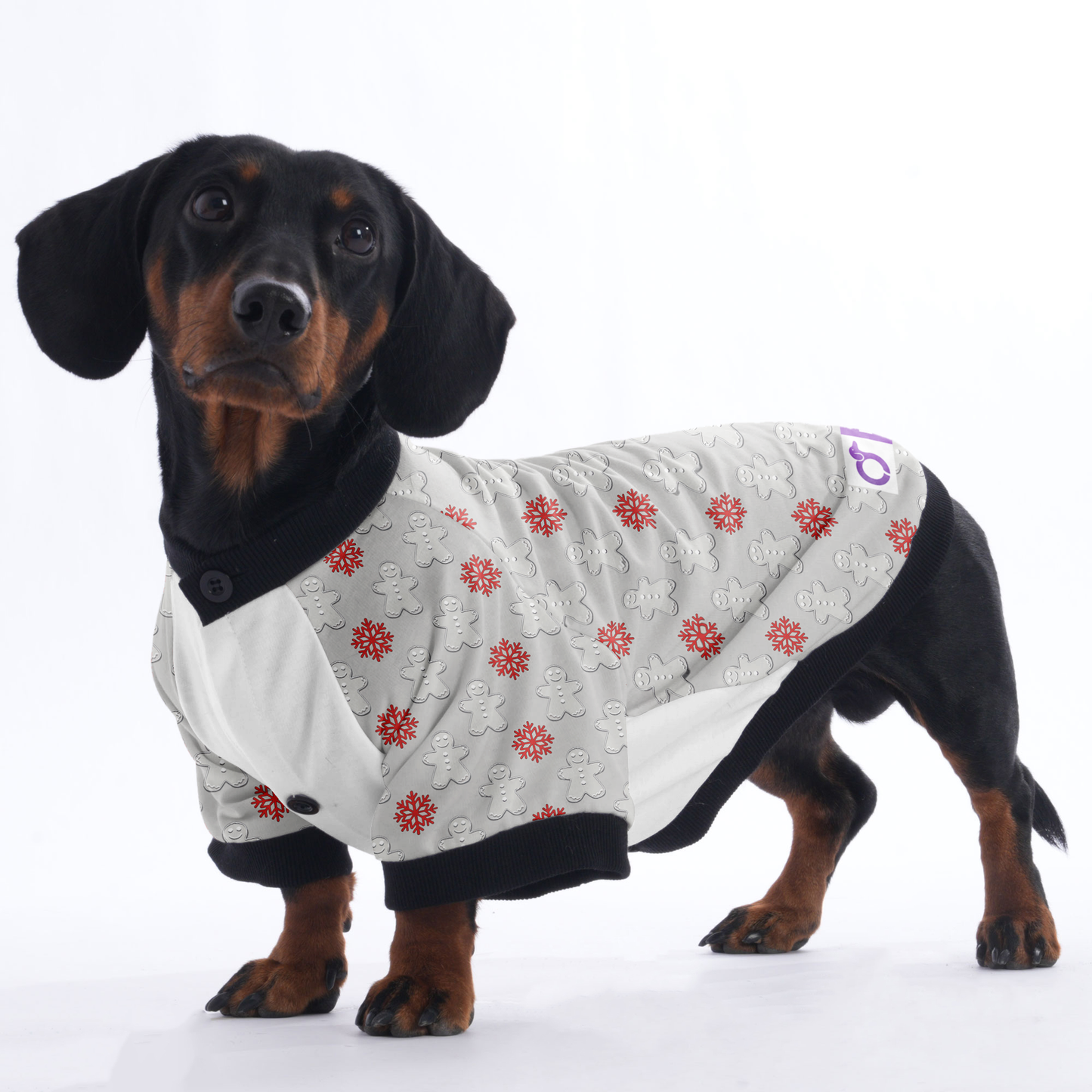 Sadie - Jacket for Dachshunds