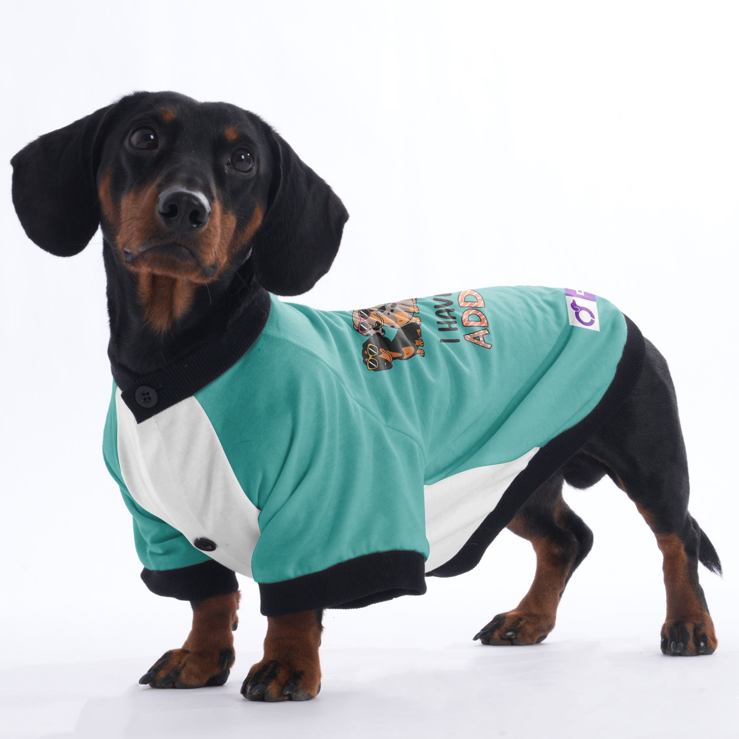 Toby - Jacket for Dachshunds