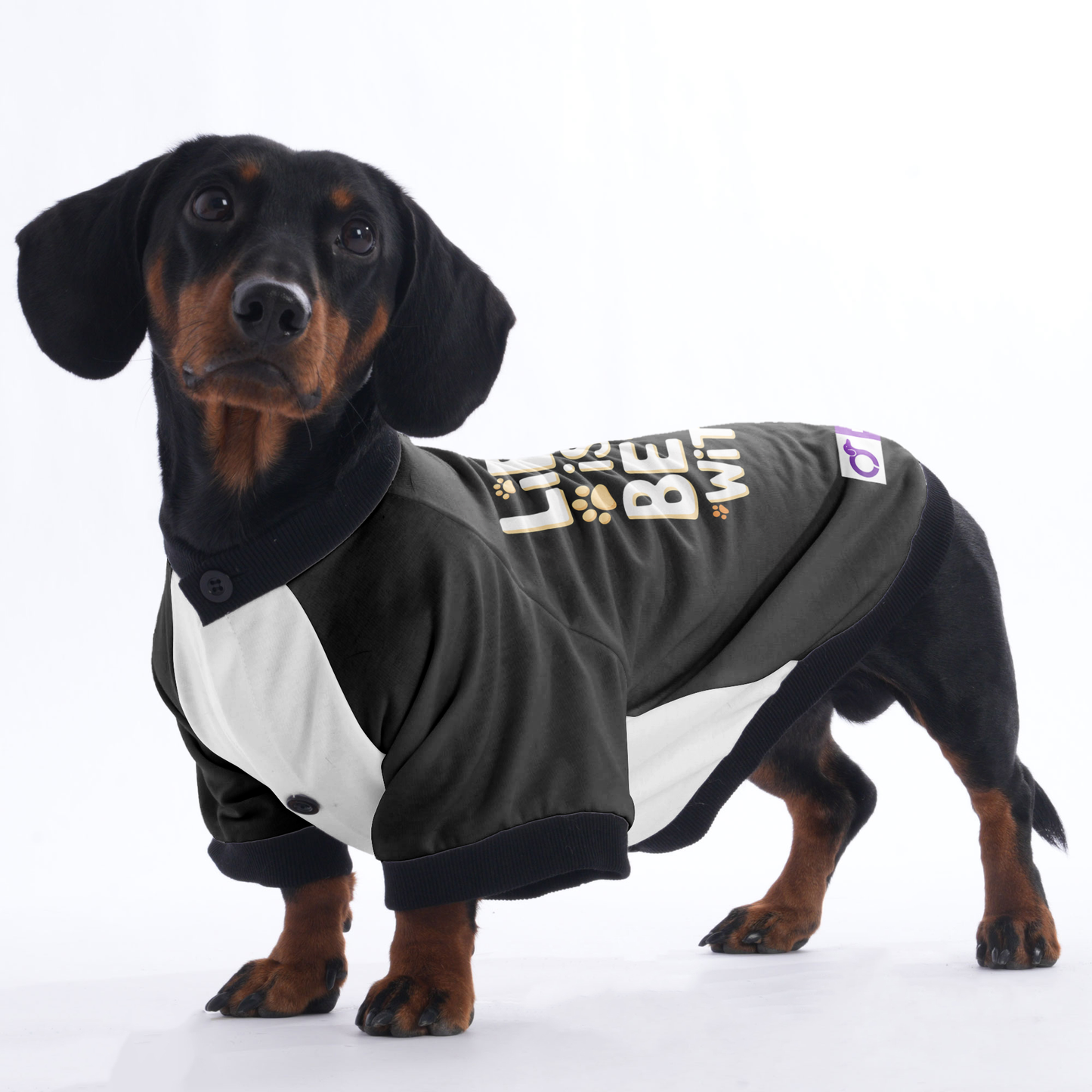 Gigi - Jacket for Dachshunds