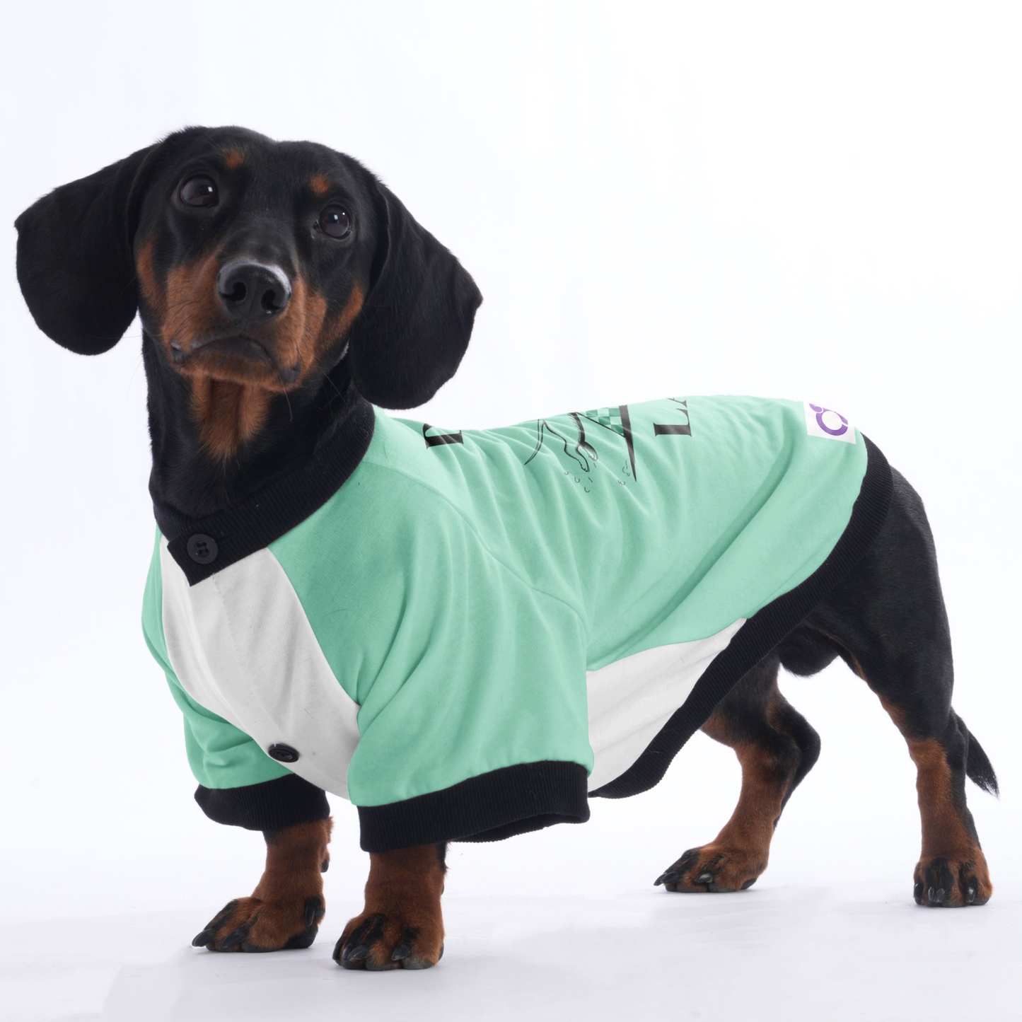 DOXIE LANCA - Jacket for Dachshunds