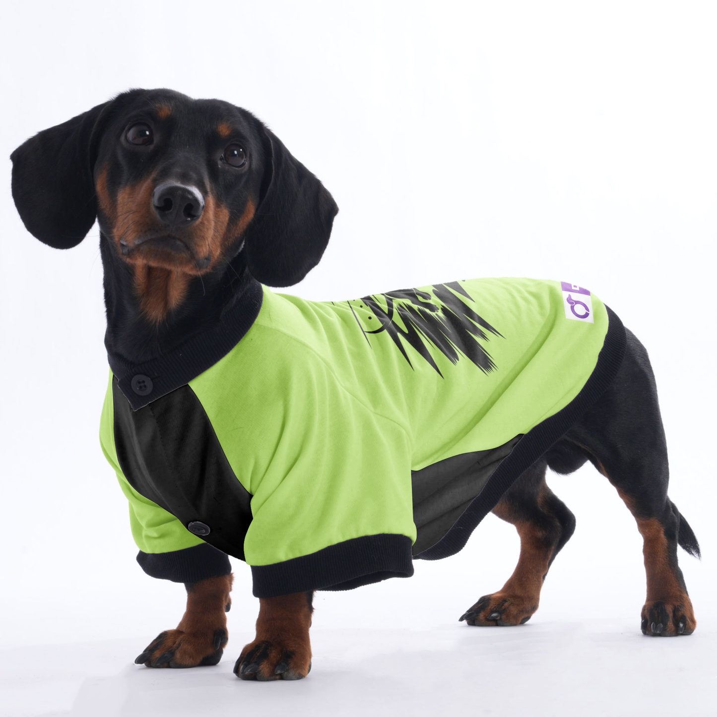 Gracie - Jacket for Dachshunds