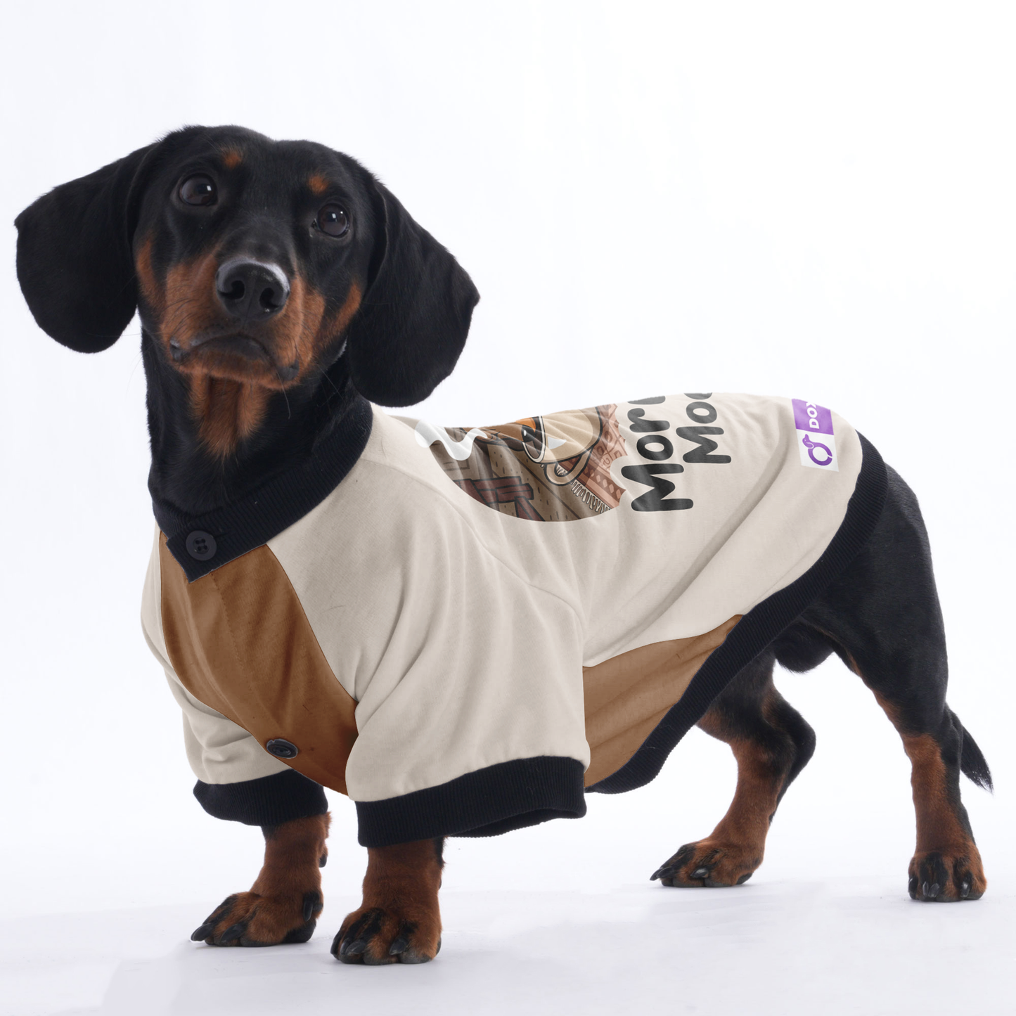 Murphy - Jacket for Dachshunds