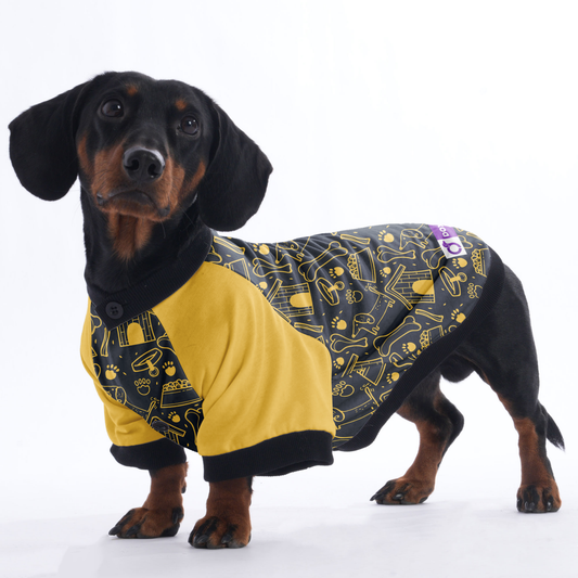 Waffles - Jacket for Dachshunds