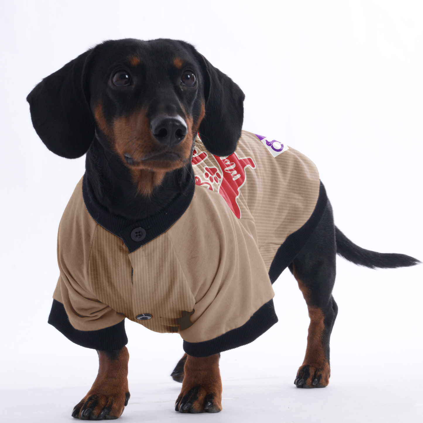 I love my Mommy - Jacket for Dachshunds