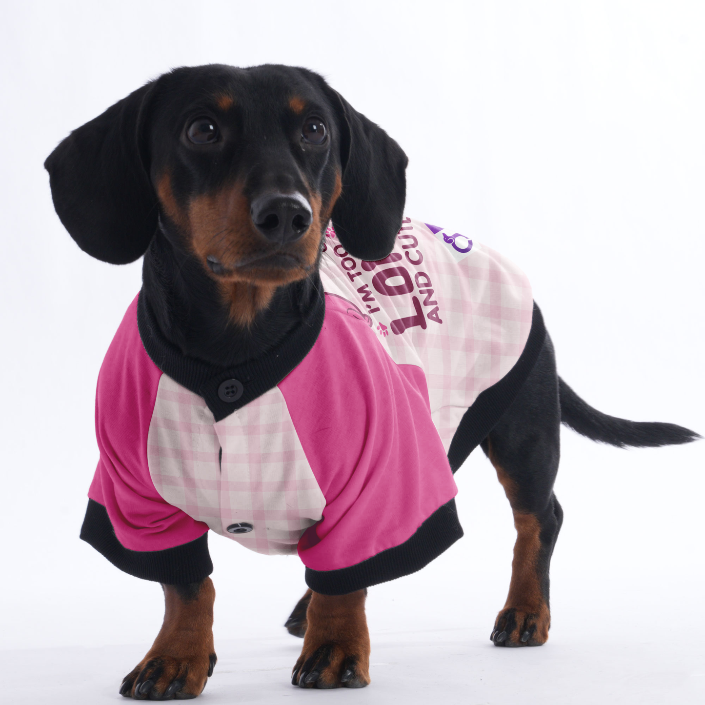 OMG I'M TOO LONG AND CUTE - Jacket for Dachshunds